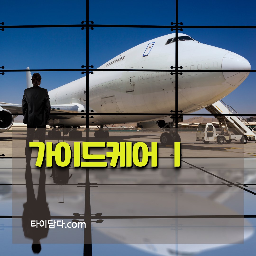 타이담다 가이드케어 안내 이미지